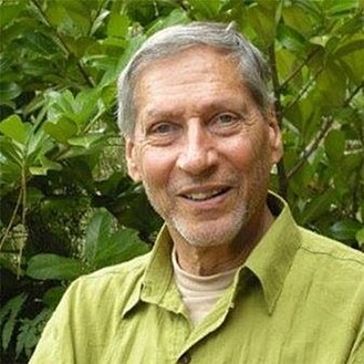 willem hoogedijk jong